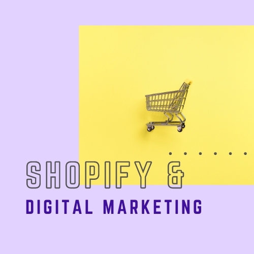 shopify and digital marketing course